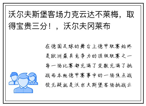 沃尔夫斯堡客场力克云达不莱梅，取得宝贵三分！，沃尔夫冈莱布